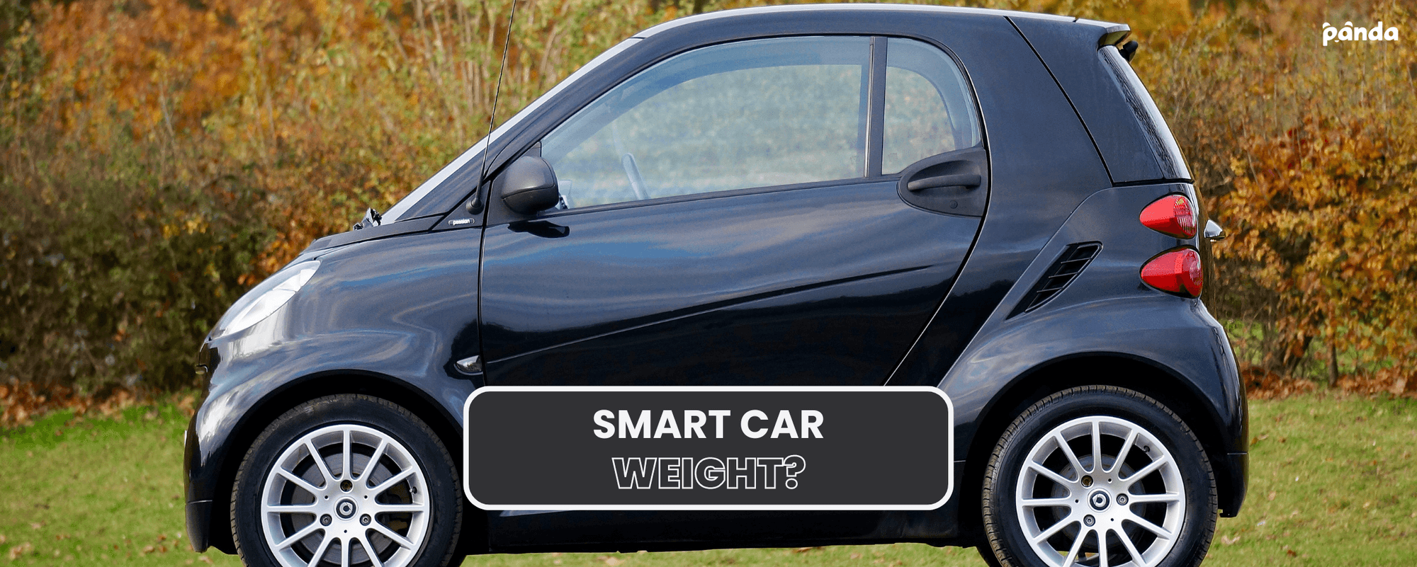 How much does a Smart Car weigh? Panda Hub Car Care
